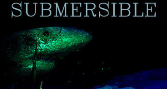 Radio Host Submersible